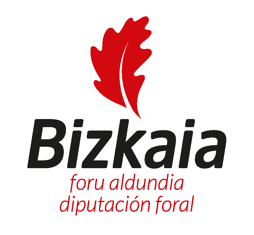 Bizkaiako foru aldundia - Diputación foral de Bizkaia